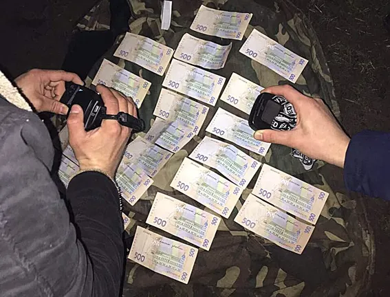 На Волині на хабарі затримали майстра лісу (фото)