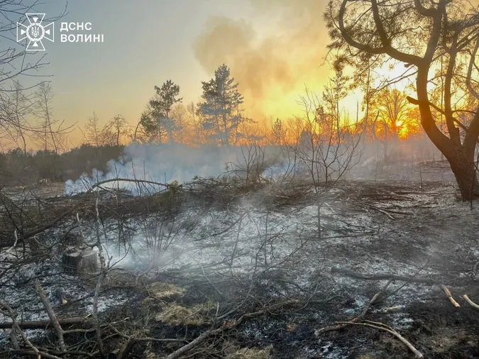 Волинь палає: за день трапилися десятки пожеж сухостою (фото)