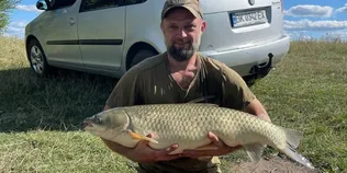 «Йомайо, це акула просто!»: на Рівненщині впіймали гігантського амура (фото, відео)