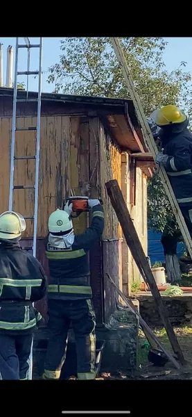 На Волині надзвичайники допомогли бабусі й знищили гніздо шершнів (фото)