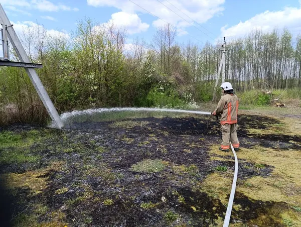 Вогняний понеділок на Волині: рятувальники ліквідували чотири пожежі в екосистемах (фото)