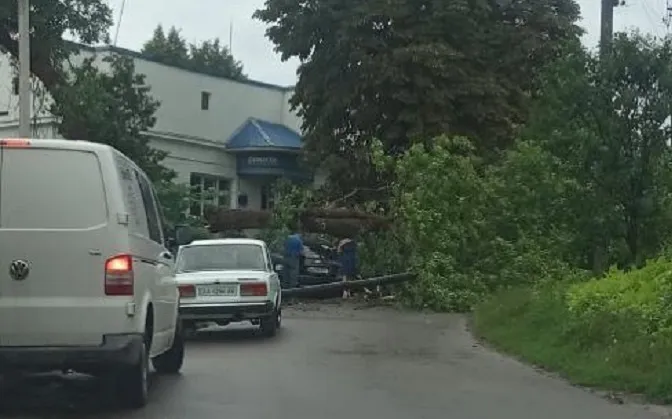 Зірвана покрівля та повалені дерева: у Володимирі бушує негода (фото, відео)