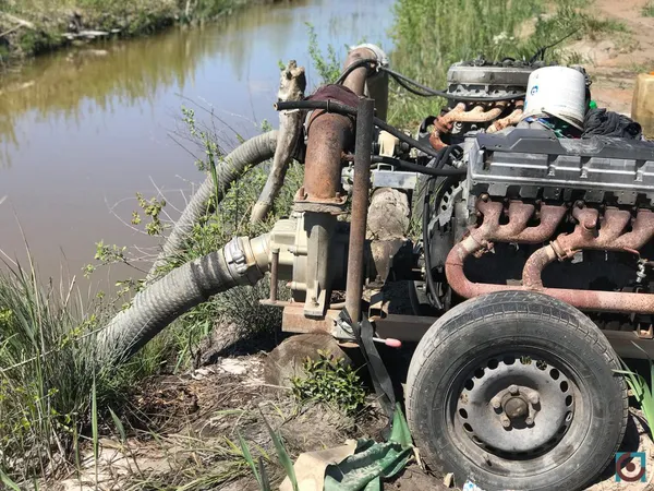 Бурштиновий промисел на карантині: що відбувається на поліських клондайках (фото, відео)
