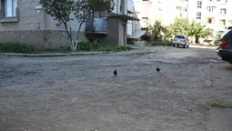 Дитмайданчики і  LED-освітлення: у Луцьку відремонтують двори (фото) 