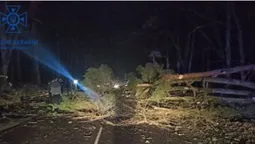 Біля Ківерців дерево перекрило автомобільну дорогу (фото)