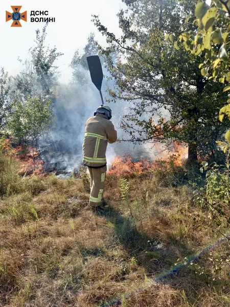 У Луцькому районі сталися сім пожеж у полях – двох паліїв зловили (фото)