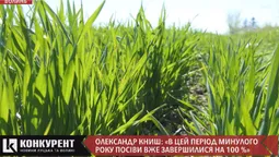 Як заморозки та підтоплення вплинуть на врожай (відео)