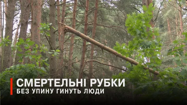 У лісі на Волині знайшли ще один труп: що відомо (відео)