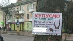 У Луцьку на стовпах знайшли дивну рекламу наркотиків (фото) 