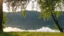 На Волині серед лісу заховалось озеро молодості (відео)