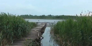 На Поліссі ховається глибоченне озеро, яке рибалки тримають у таємниці (відео)