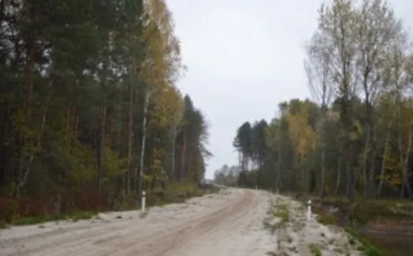 На Волині з'явилося нове лісництво