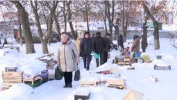 Мороз не зупиняє: що коїться на луцьких ринках (відео)