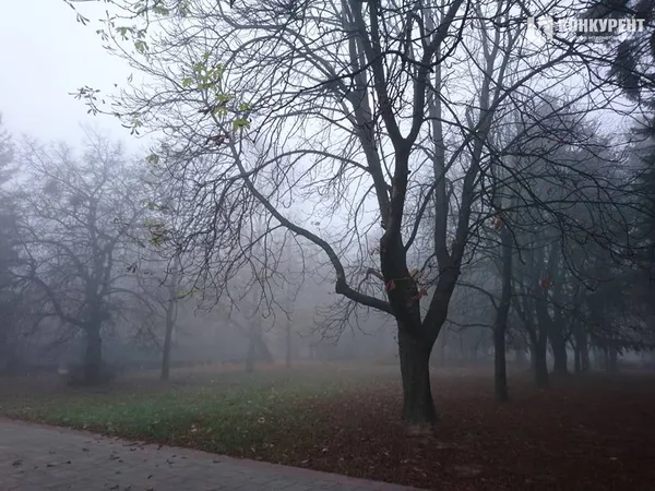 Луцьк «зник» у тумані (фото)
