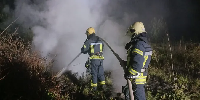 Вночі під Луцьком горів Панський ліс