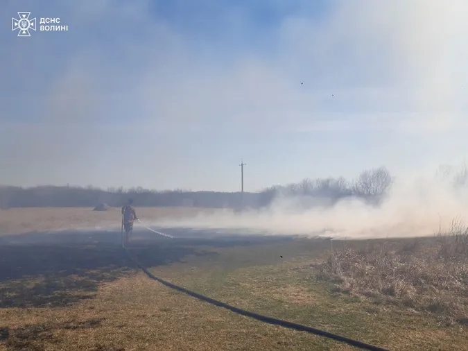 Гектари територій палають у вогні: на Волині за добу – 10 пожеж (фото)