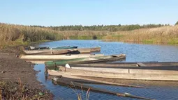 В мережі показали осінні світлини з річки Стохід (фото)