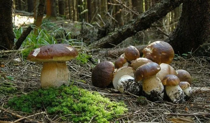Фото ілюстративне