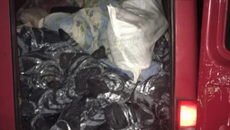 На Волині затримали авто майже з трьома тоннами м'яса (фото, відео)