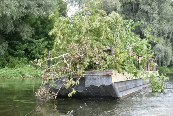 У Луцьку Стир чистять від повалених дерев (фото, відео)
