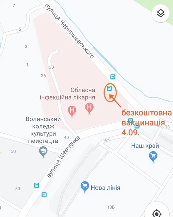 У Луцьку безплатно вакцинуватимуть домашніх собак і котів