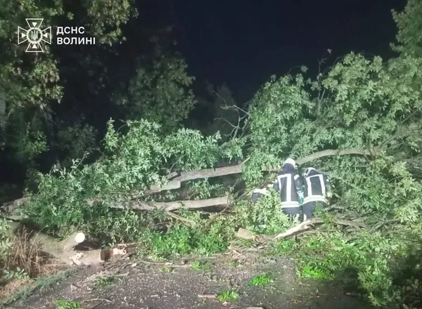 Негода повалила дерево на дорогу в Луцькому районі