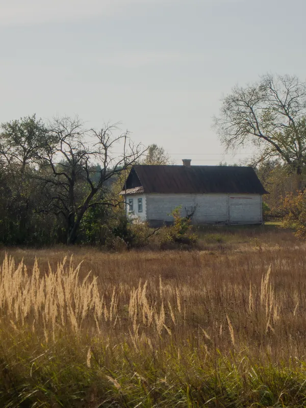 Простота, спокій, загадковість: осінь у селі на Волині (фото)