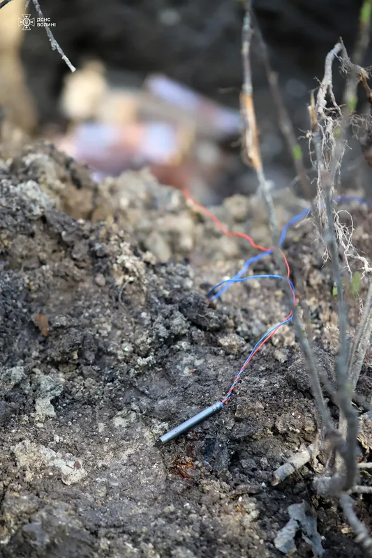 У лісі на Волині знайшли схрон боєприпасів німецької армії часів Другої світової війни (фото)