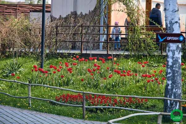 Луцький зоопарк запрошує лучан на фотосесію