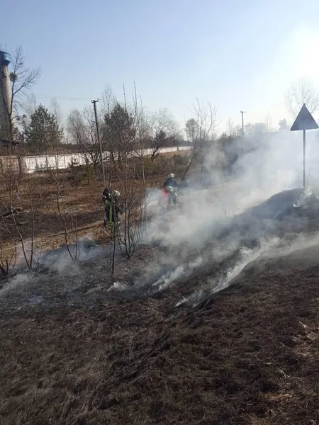 На Волині вогнеборці врятували двох їжачків (фото)
