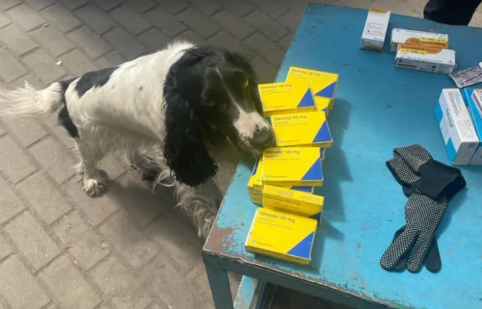 «Tramadol» і психотропи: в «Ягодині» у водія вантажівки знайшли заборонені таблетки (фото)