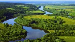 Із Волині у Дніпро через Білорусь, крізь болота та ліси несе свої води неймовірна річка (фото)