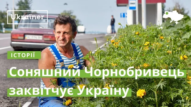Луцький скульптор заквітчав соняхами 600 кілометрів волинських доріг (відео)