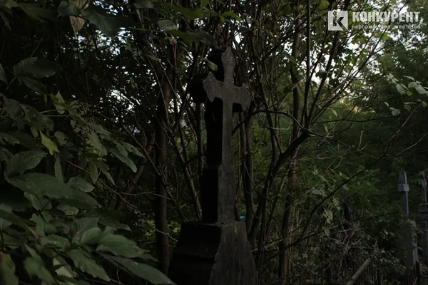 Пальма, криниця і «могила хом'яка»: (не)містична прогулянка луцьким цвинтарем (фото)