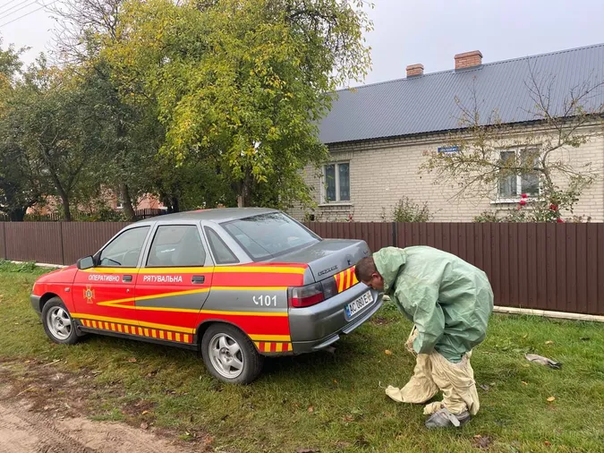Горище волинянки захопили небезпечні комахи (фото)