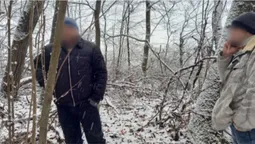 У заказнику на Володимирщині браконьєри застрелили кабанів у голову (фото 18+)