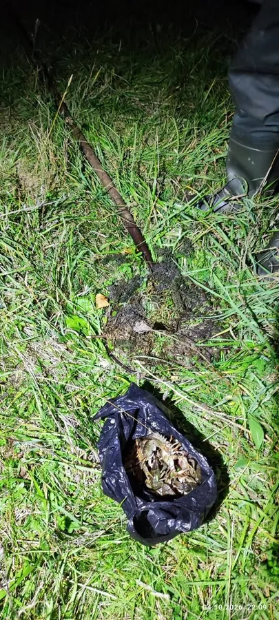 На Волині затримали браконьєра, який наловив раків на майже 90 тисяч гривень