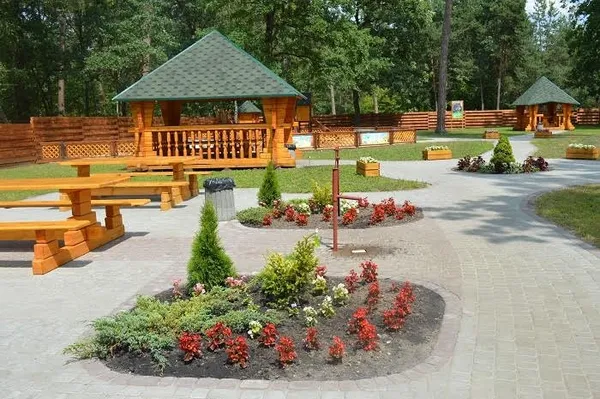 Чим можуть похвалитися лісогосподарські підприємства Волині