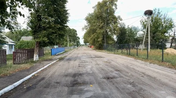 Ліс, Стир і 400-річний дуб: як живе село Куликовичі на Волині (фото, відео)