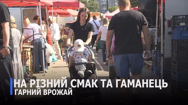 На ринках Луцька з'явилися перші кавуни: звідки везуть і скільки коштує кілограм (відео)