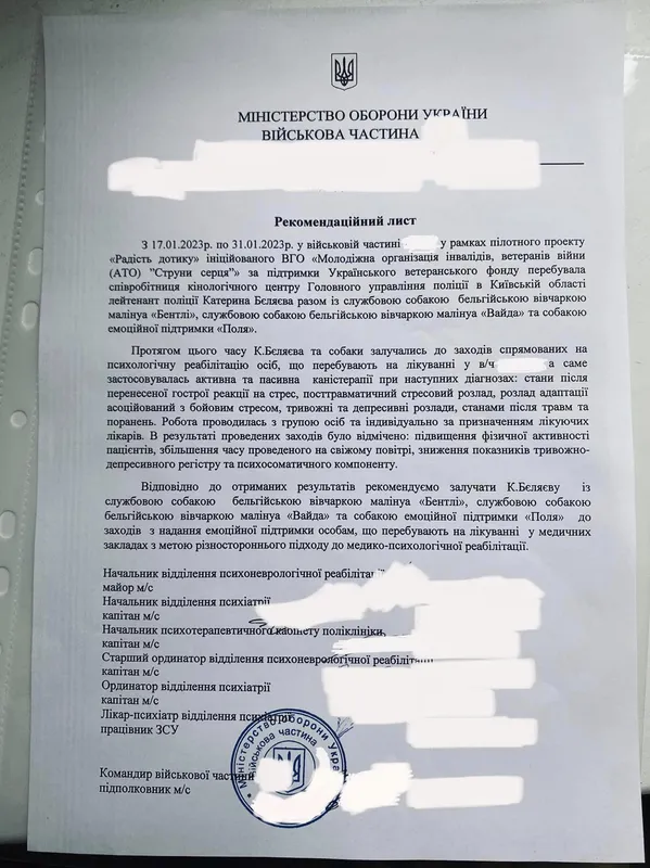 Емоційна реабілітація постраждалих: в Міноборони порадили медикам залучати собак (фото)
