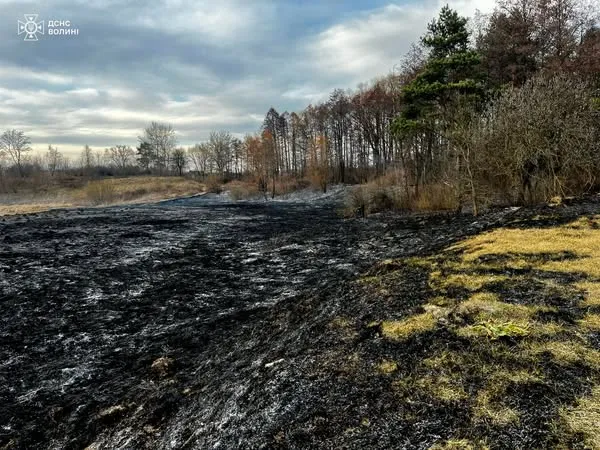 Волинь – у вогні: через паліїв ландшафти нагадують пекло (фото)