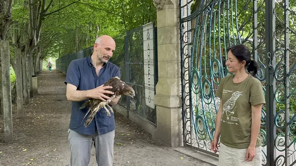 Передача змієїда на реабілітацію в зоолого-дендрологічний парк «Оброшинський». На фото Ярослав Кшик та Оксана Гнатина