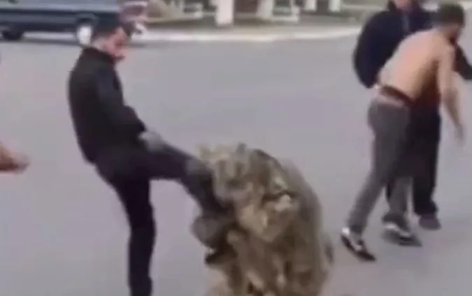 У Луцькому районі невідомі побили військовослужбовця (відео)