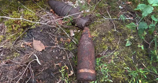На Волині грибник знайшов у лісі снаряди (фото)