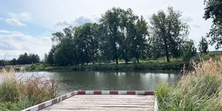 5-кілограмові коропи та спокій: чим приваблює озеро Татарка на Волині (фото)