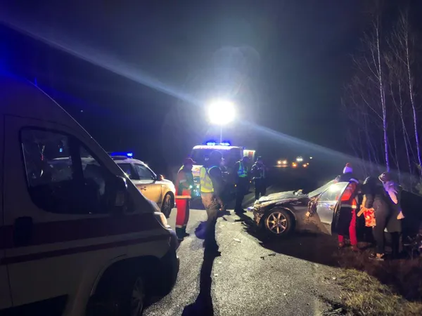 Раптово вибіг з лісу: на Рівненщині лось спричинив ДТП (фото)