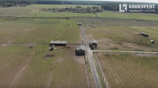Як працює оленяча ферма на Волині, та як туди потрапити (ФОТО)