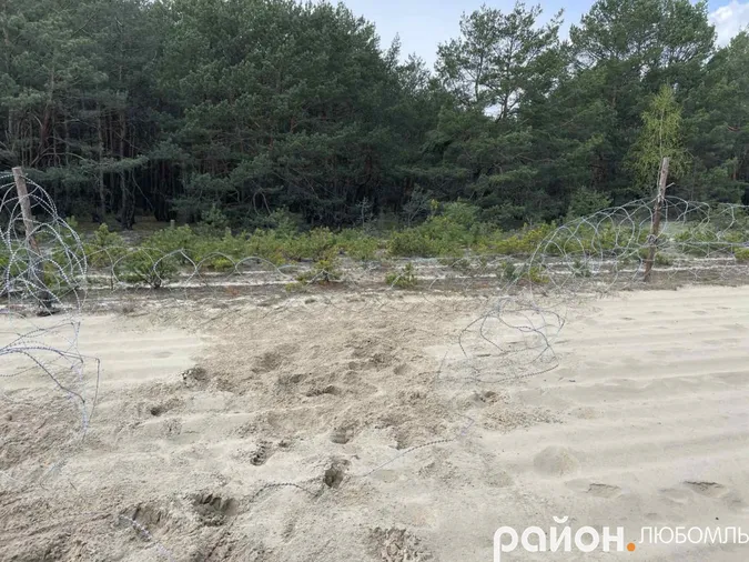 На Волині загинув олень, який намагався прорватися через колючий дріт