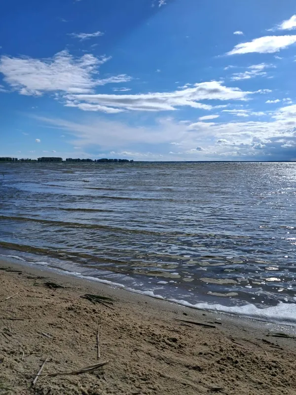 Світязь вразив незвичним видовищем: вода в озері стала схожою на рідке срібло (фото)